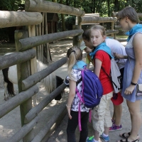 Wakacje 2016 w zoo