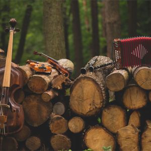 Wypożyczanie i korzystanie z instrumentów muzycznych